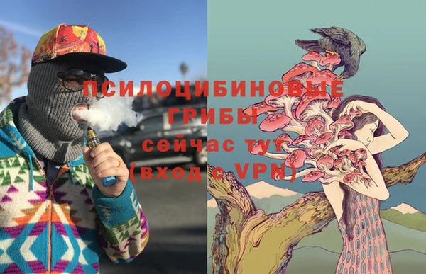 ALPHA PVP Армянск