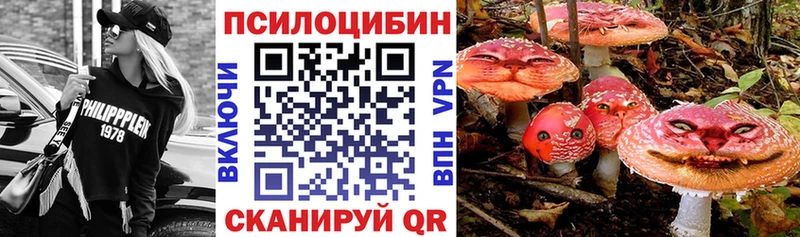 Псилоцибиновые грибы Cubensis  Новое Девяткино 